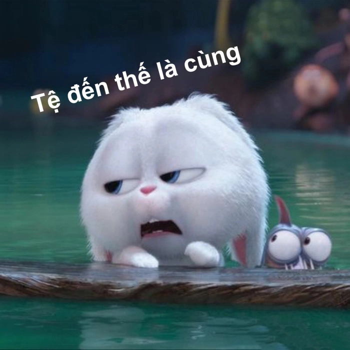 Thỏ Snowball cute bá đạo vui nhộn