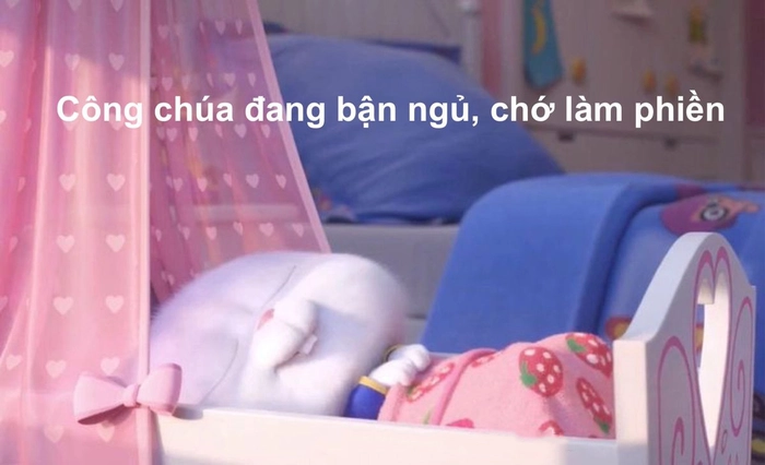 Thỏ Snowball cute cực đáng yêu