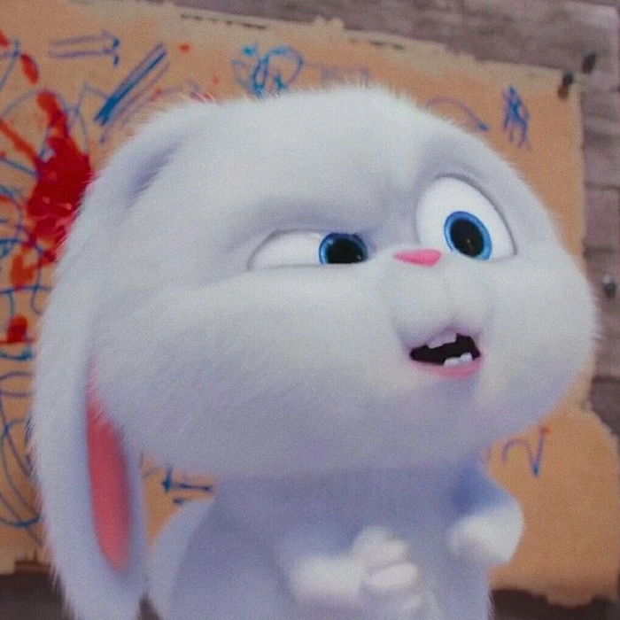 Thỏ Snowball cute đáng yêu