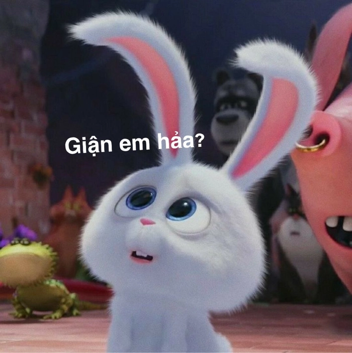 Thỏ Snowball cute tinh nghịch