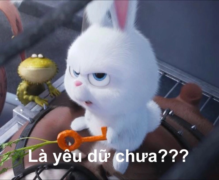 Thỏ Snowball tức giận chế bá đạo