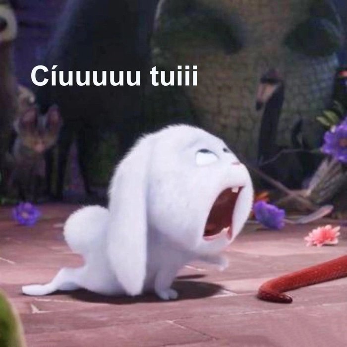 Thỏ Snowball tức giận ngộ nghĩnh