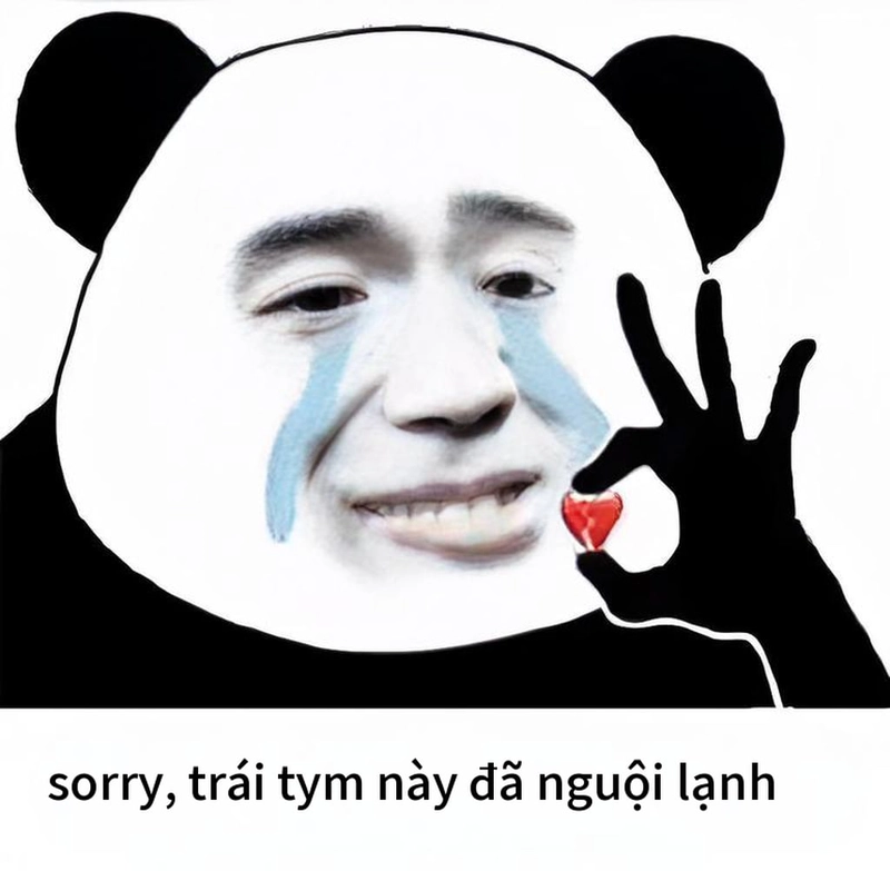 Xin lỗi meme gấu trúc hài bựa