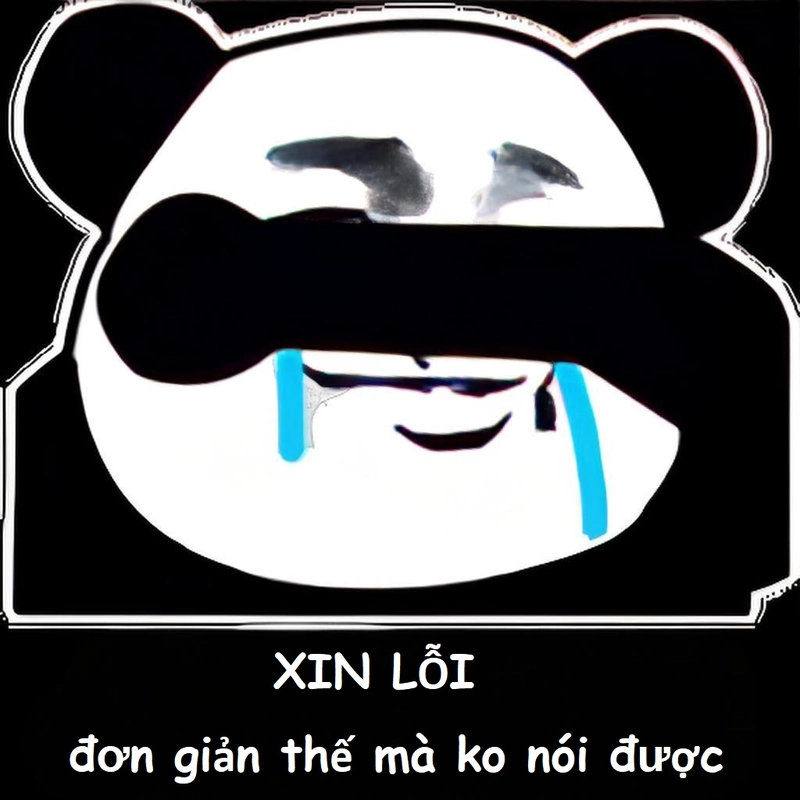 Xin lỗi meme gấu trúc vui nhộn