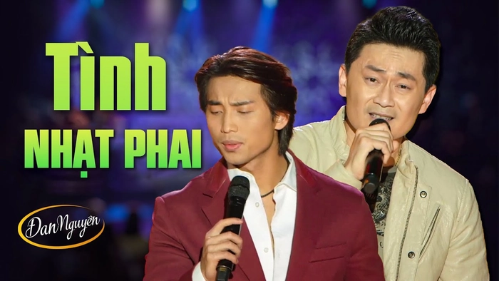 lời bài hát tình nhạt phai