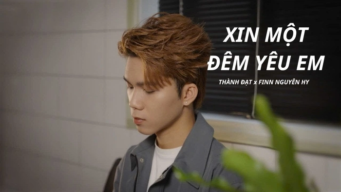 lời bài hát xin một đêm yêu em