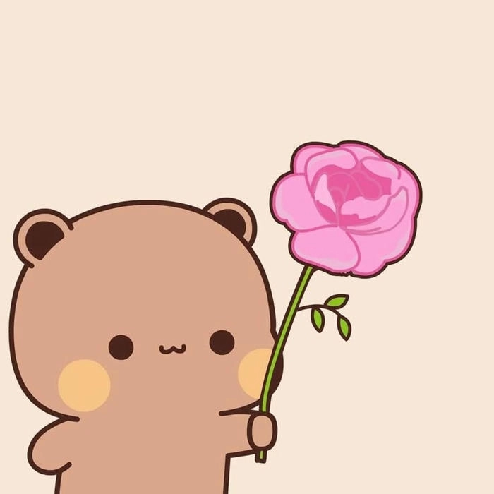 Ảnh con gấu nâu cute