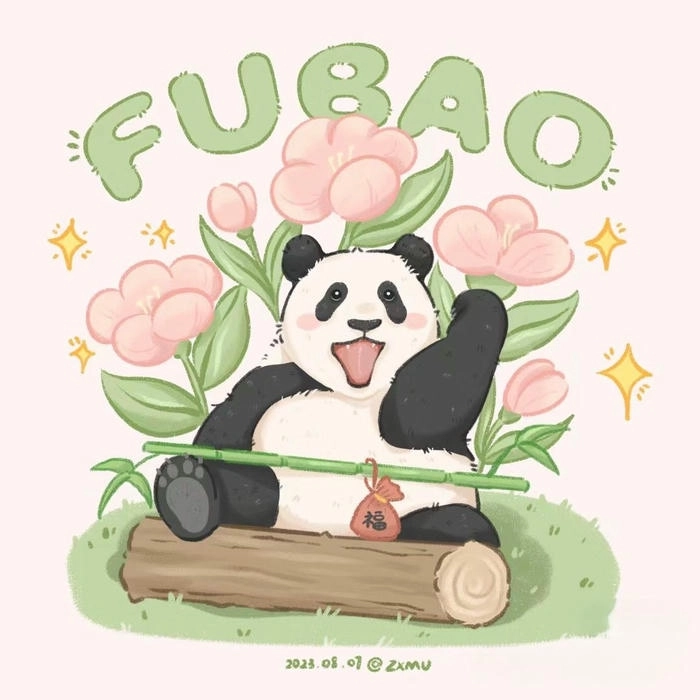 Ảnh gấu trúc dễ thương đáng yêu