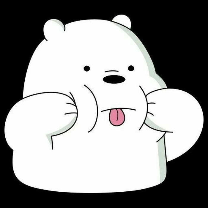 Hình ảnh gấu trắng đáng yêu