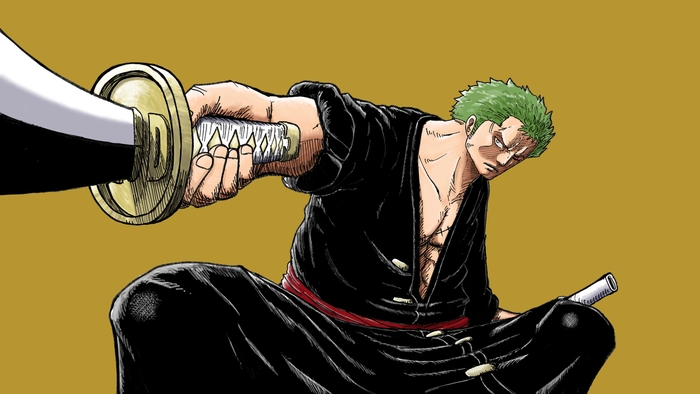 Hình ảnh Roronoa Zoro cuốn hút tự nhiên