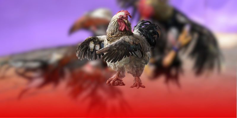 Kinh nghiệm xem đá gà C1 trực tuyến hiệu quả