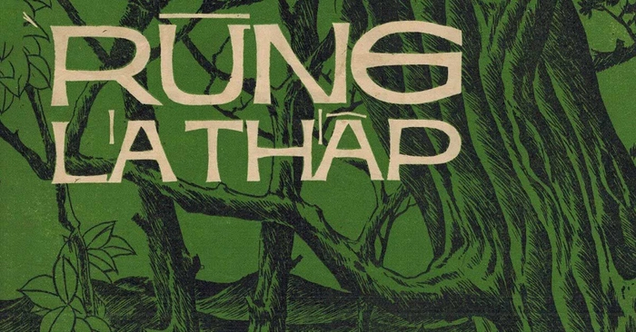 lời bài hát rừng lá thấp