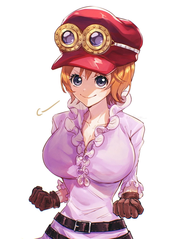 Ảnh Cute Koala One Piece biểu cảm mềm mại