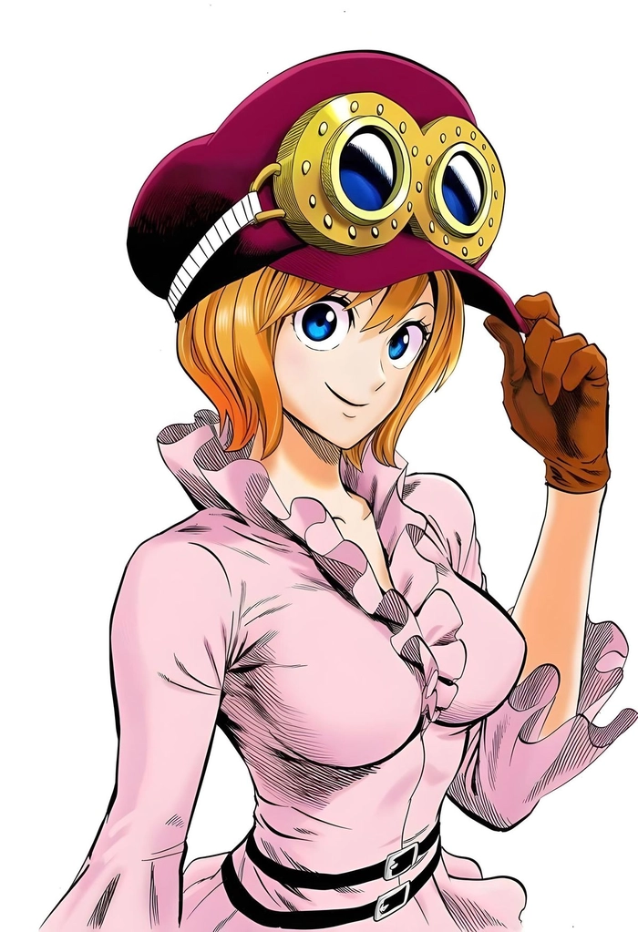 Ảnh Cute Koala One Piece tinh tế