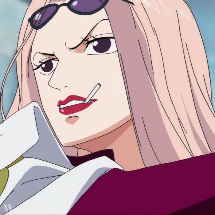 Ảnh Hina One Piece sắc nét