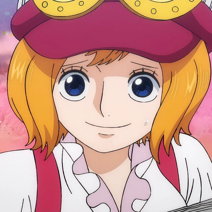 Ảnh Koala One Piece dễ thương