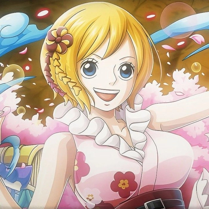 Ảnh Koala One Piece thần thái dịu dàng