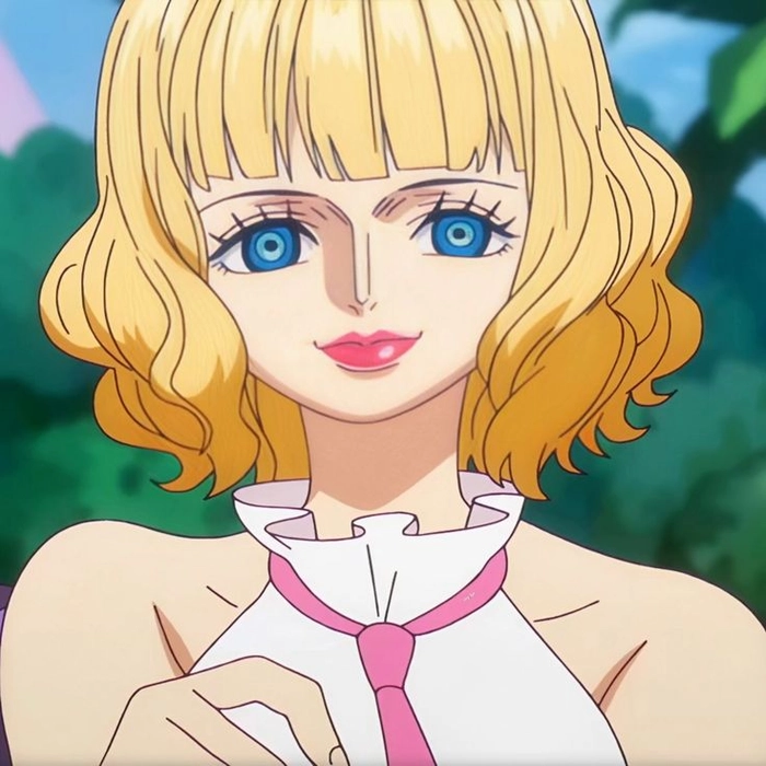 Ảnh Stussy One Piece full hd