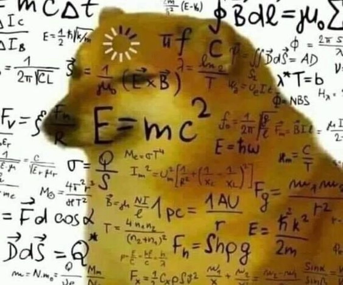 Ảnh meme con chó loading cho lúc đợi mòn mỏi