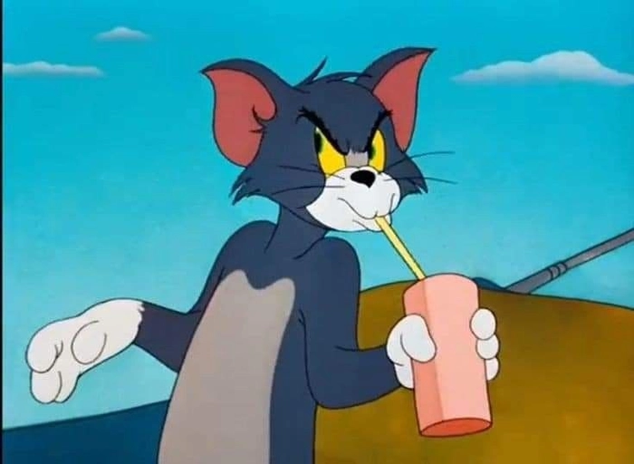 Ảnh meme mèo Tom dùng để comment