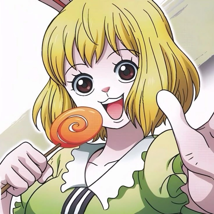 Bộ sưu tập Carrot trong One Piece