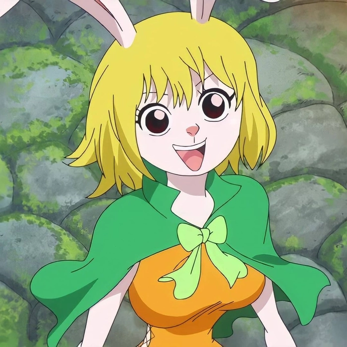 Carrot trong One Piece phong cách