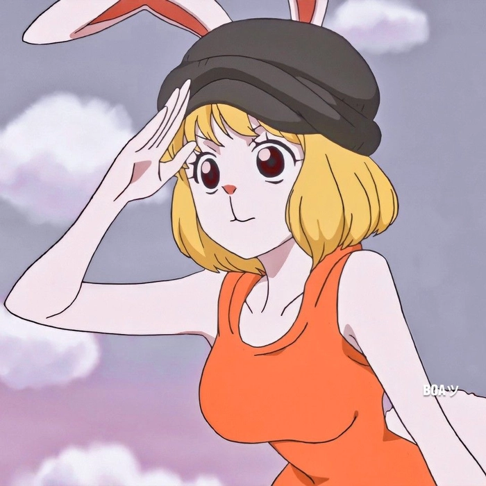 Carrot trong One Piece thời khắc đẹp