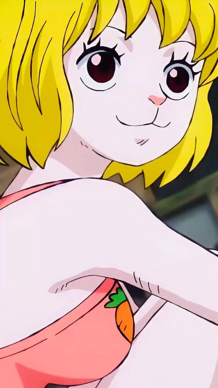 Hình Carrot trong One Piece cuốn hút