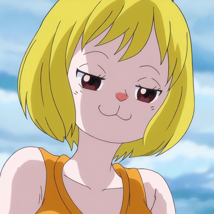 Hình Carrot trong One Piece đẹp mắt