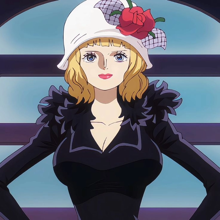 Hình ảnh Stussy One Piece bikini nổi bật