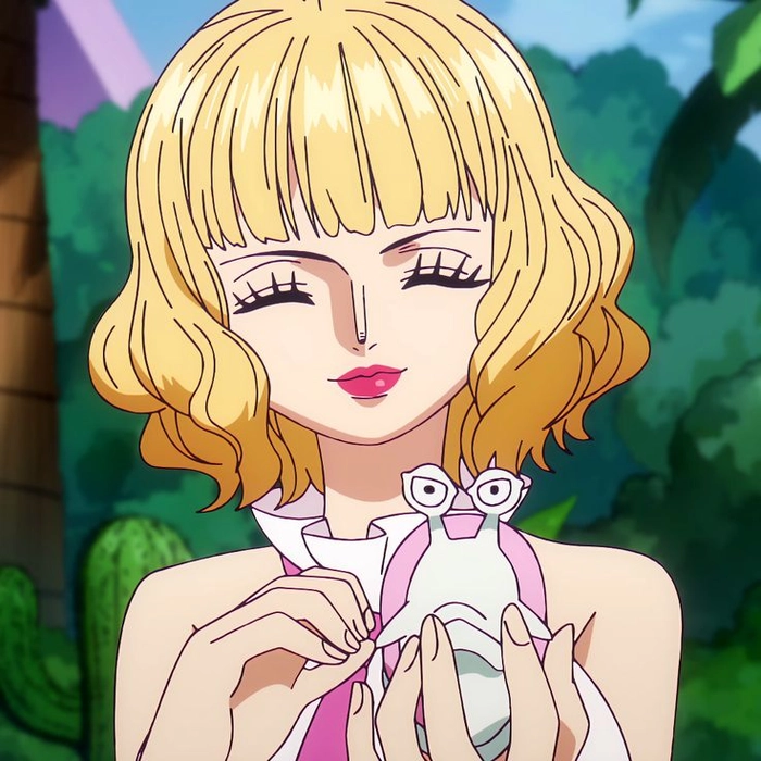 Hình ảnh Stussy One Piece phong thái