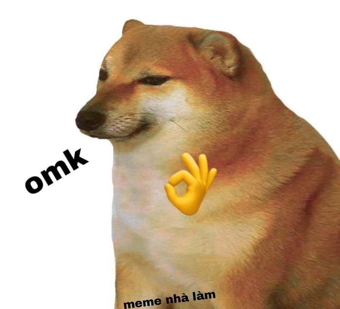 Hình meme chó biểu cảm bình thản