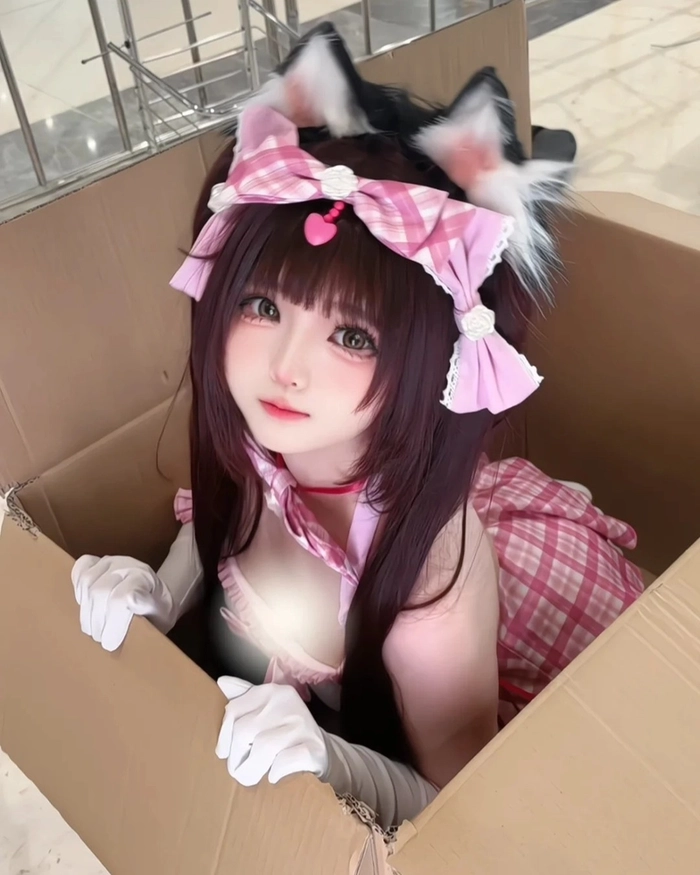 Hình nền cosplay mèo cute