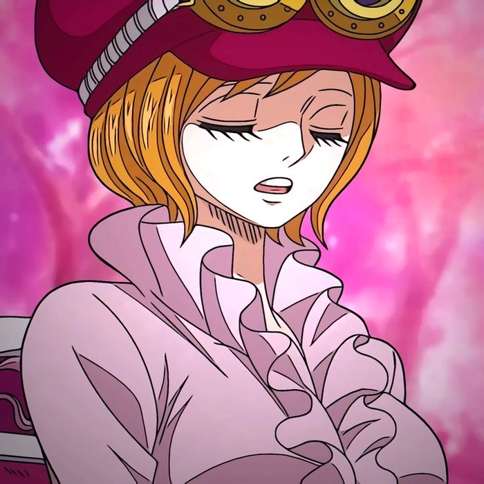 Koala One Piece anime đường nét mượt mà