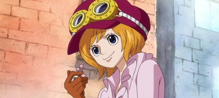 Koala One Piece anime giàu cảm xúc