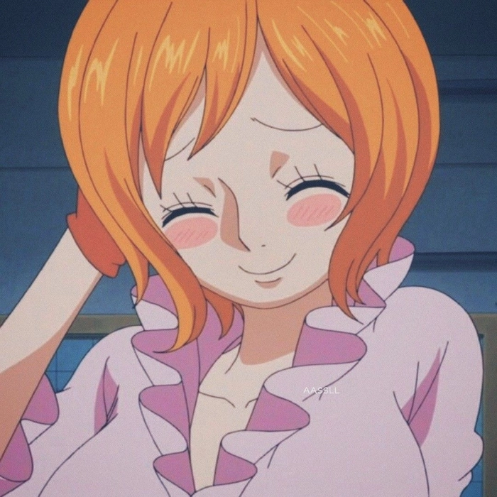 Koala One Piece anime giàu chi tiết