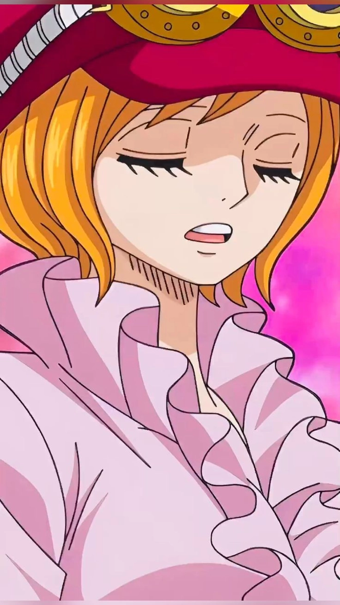 Koala One Piece anime hình tượng nổi bật