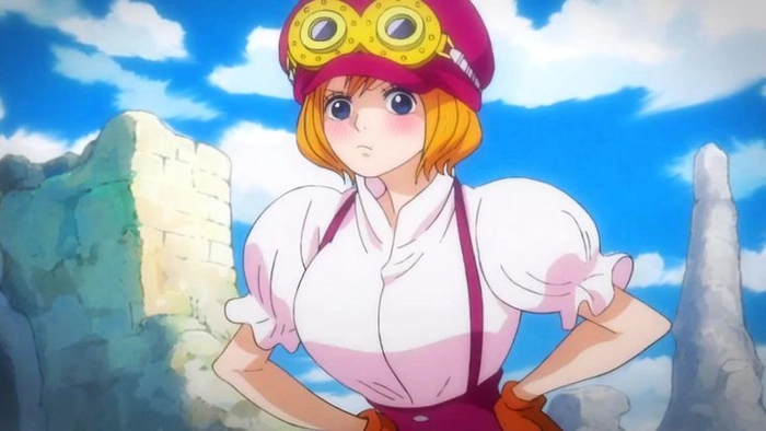 Koala One Piece anime với sắc thái tự nhiên