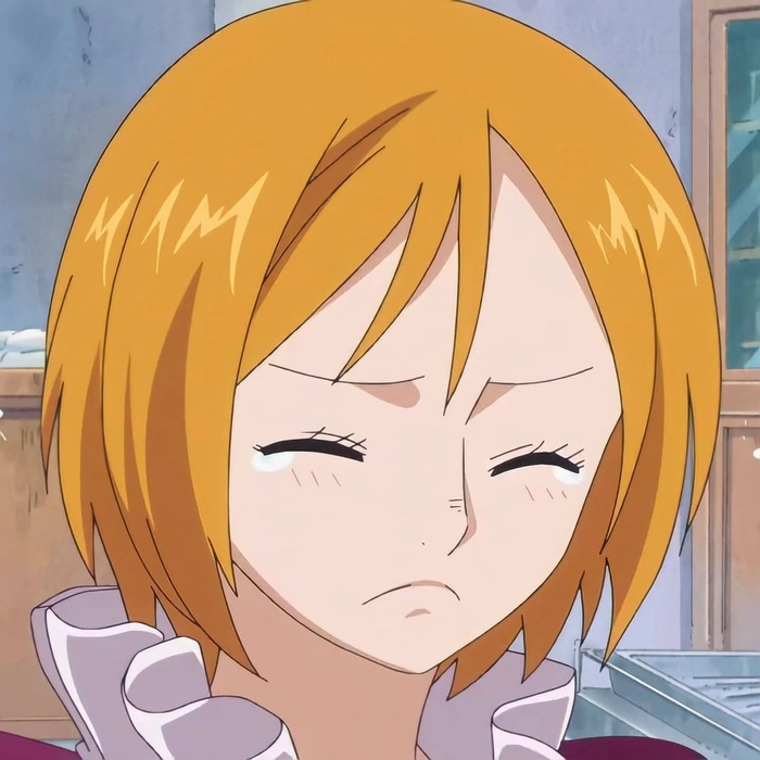 Koala One Piece anime với tạo hình ấn tượng