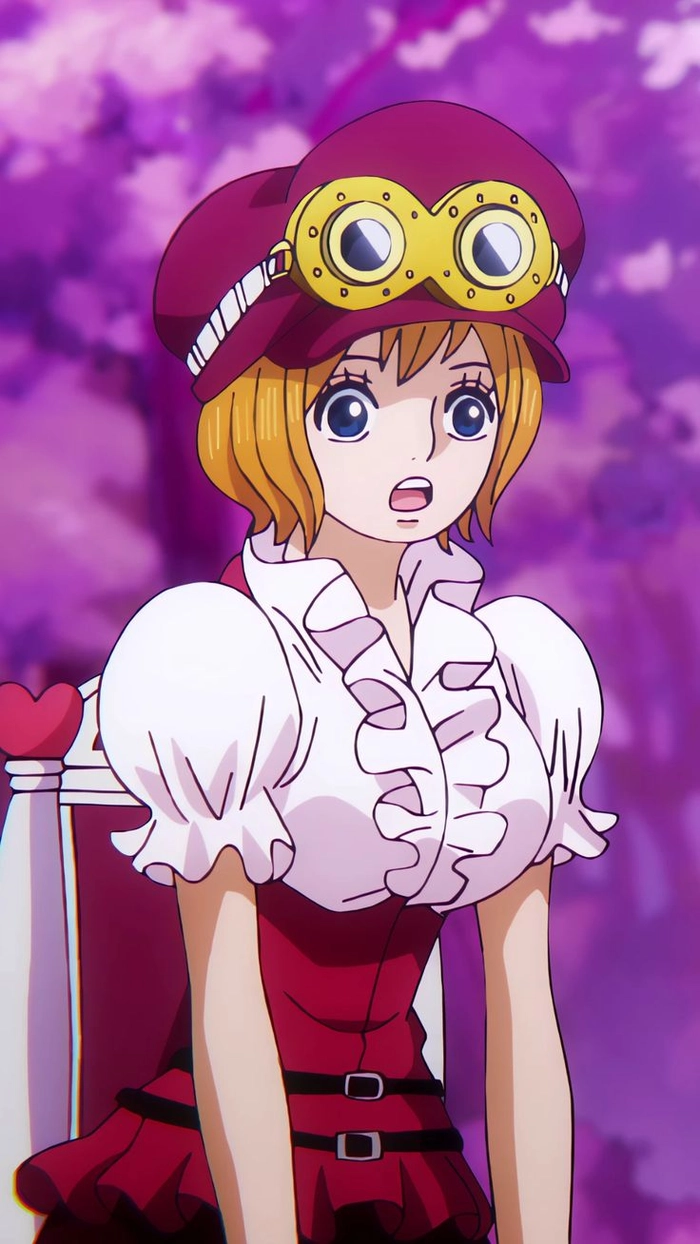 Koala One Piece cute trong dáng vẻ trẻ trung