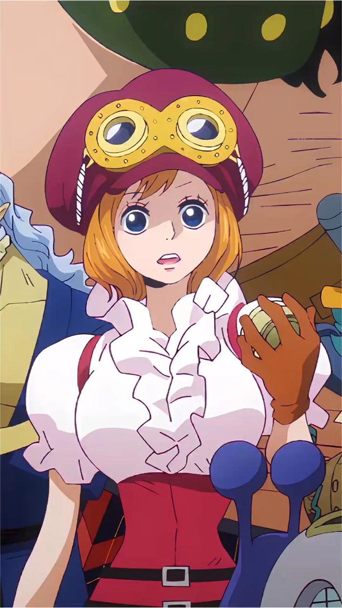 Koala One Piece cute trong khoảnh khắc sinh động