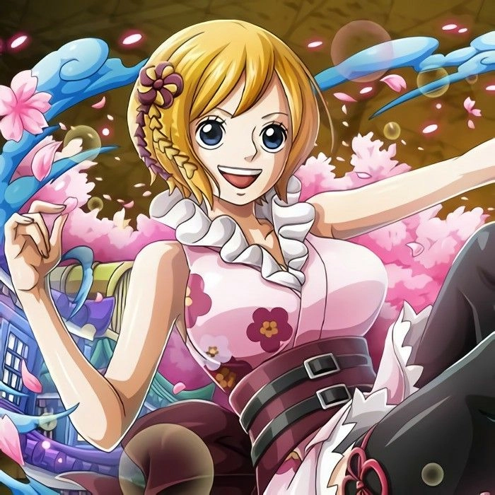 Koala One Piece cute trong tạo hình anime