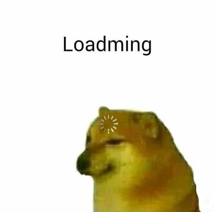 Meme chó loading biểu cảm ngơ