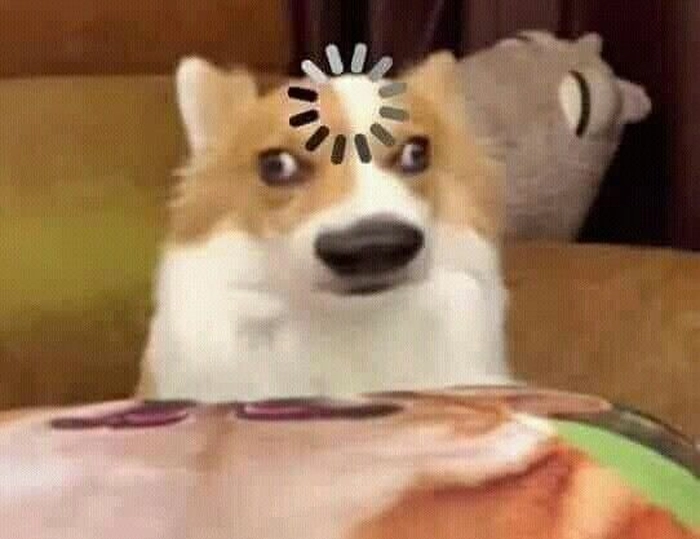 Meme chó loading đúng tâm trạng