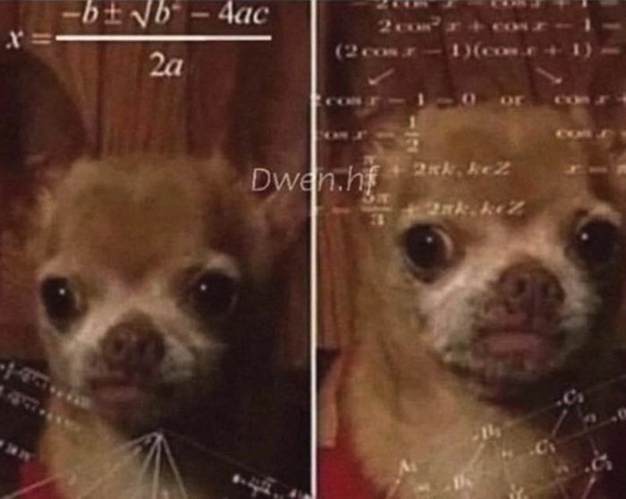 Meme chó loading não đang lag