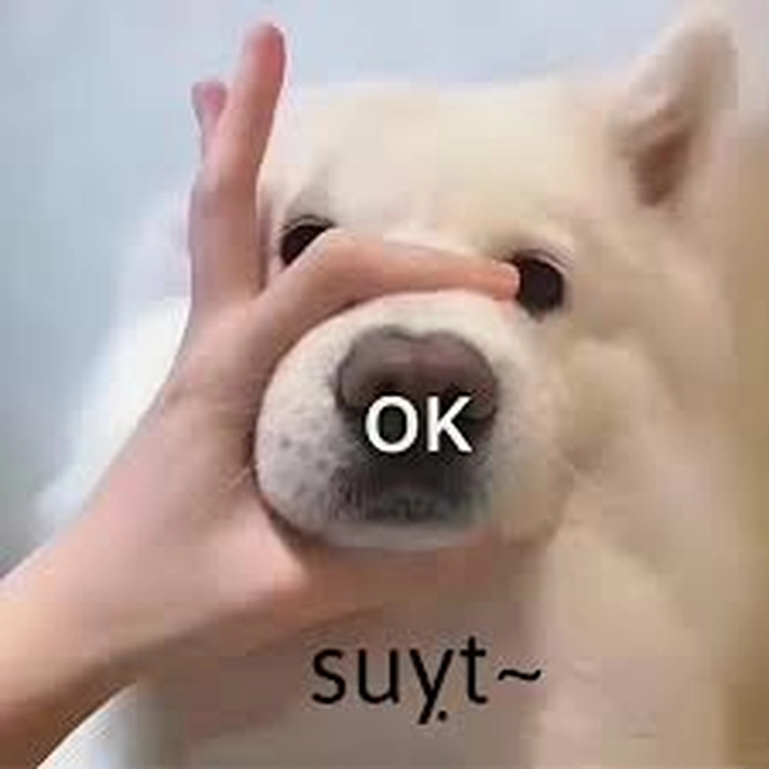 Meme chó ok đơn giản dễ dùng