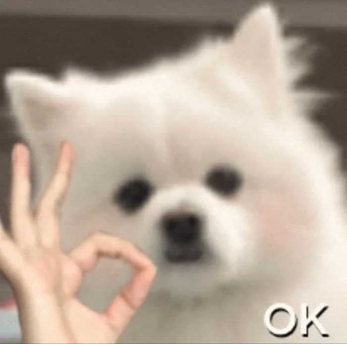Meme chó ok dùng khi không muốn nói nhiều