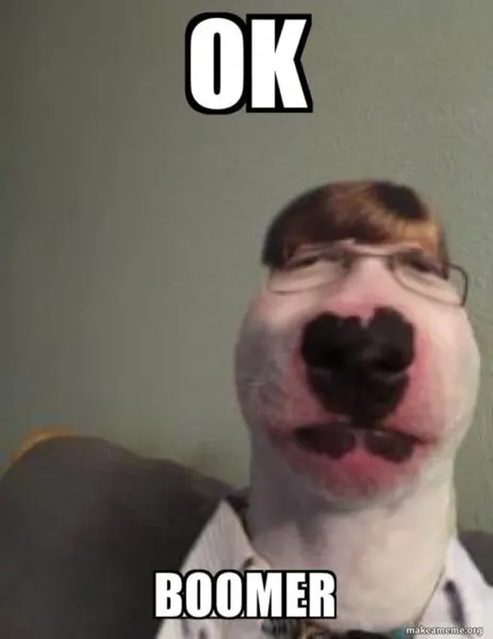 Meme chó ok dùng trong bình luận