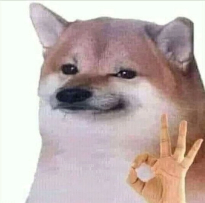 Meme chó ok phản ứng nhanh gọn