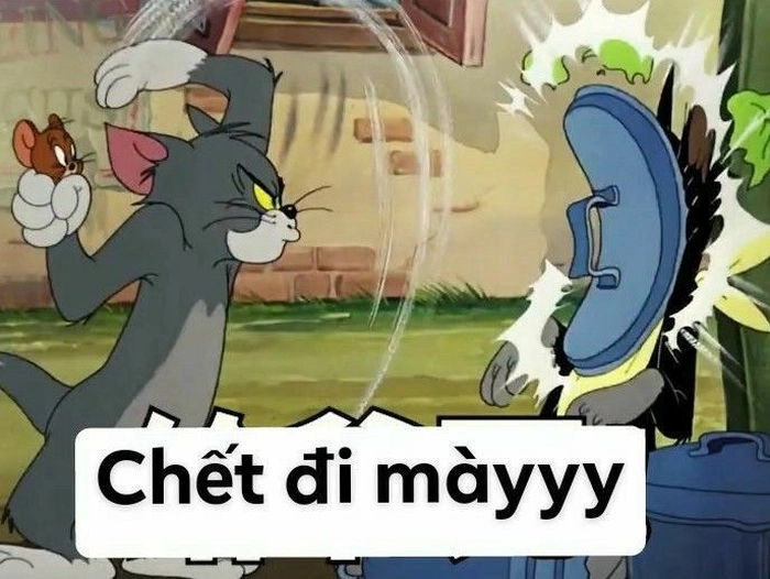 Meme mèo Tom cầu xin trông tội nghiệp